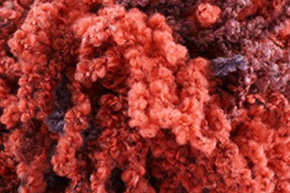CK489-Boucle yarn