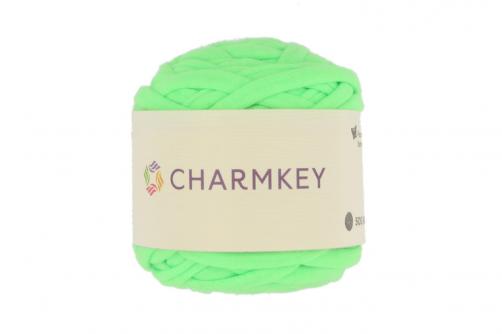 CK629-	Tape Ribbon Yarn