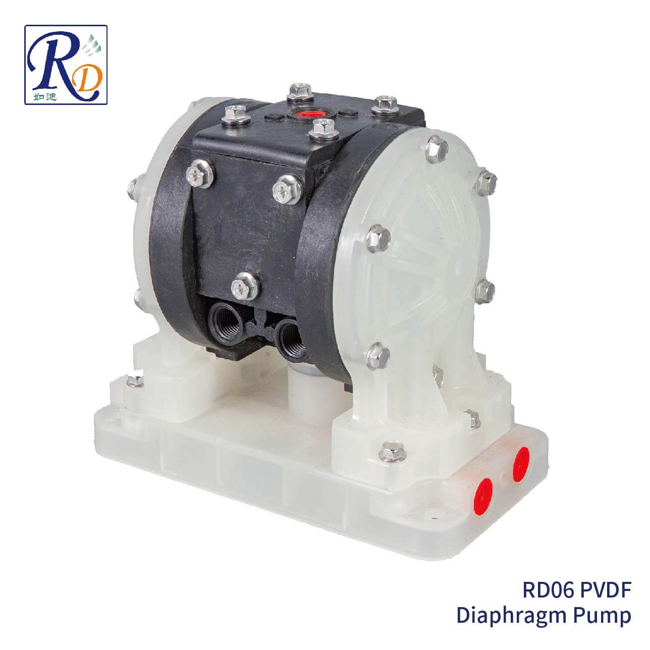 RD06 PVDF Diaphragm Pump
