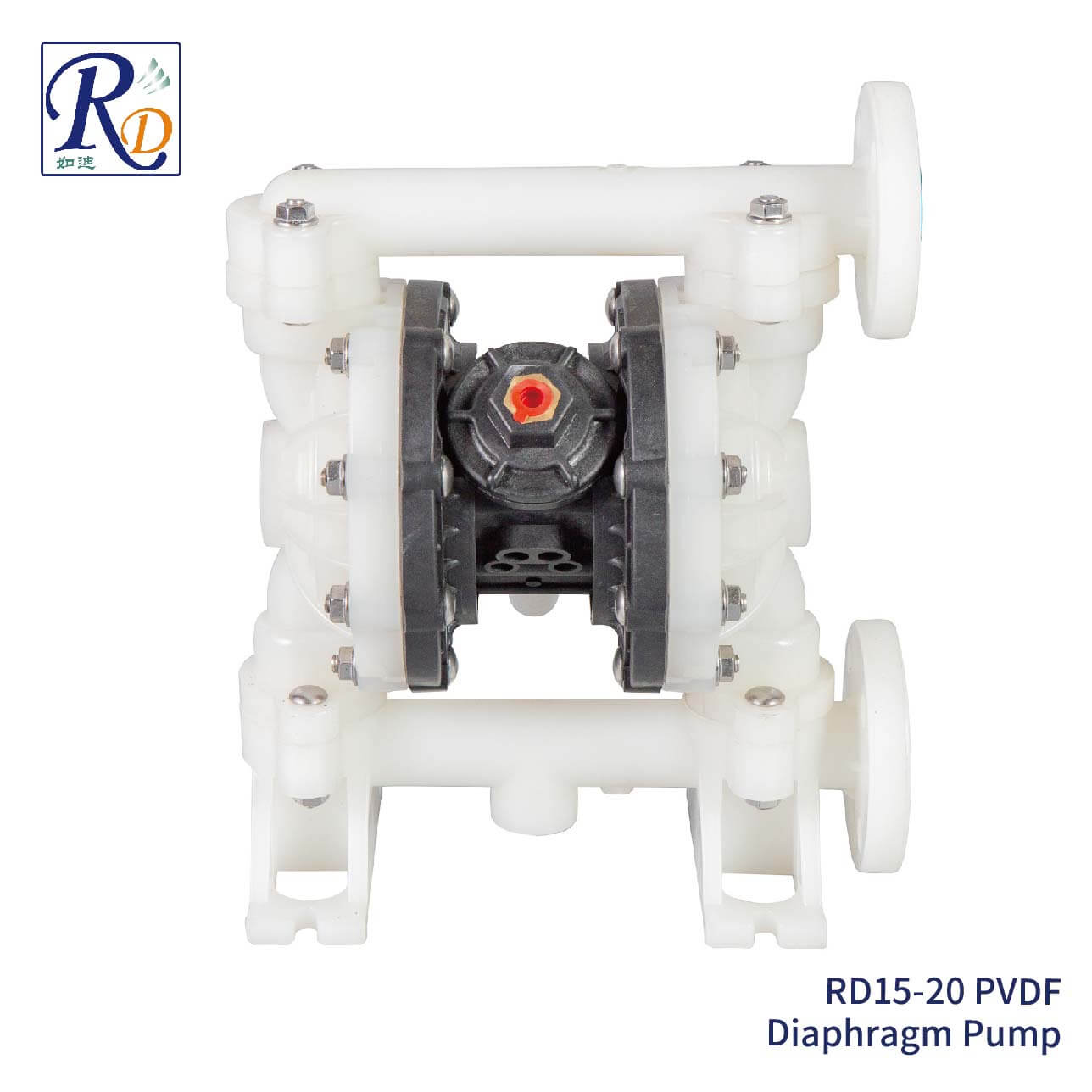 RD15-20 PVDF Diaphragm Pump