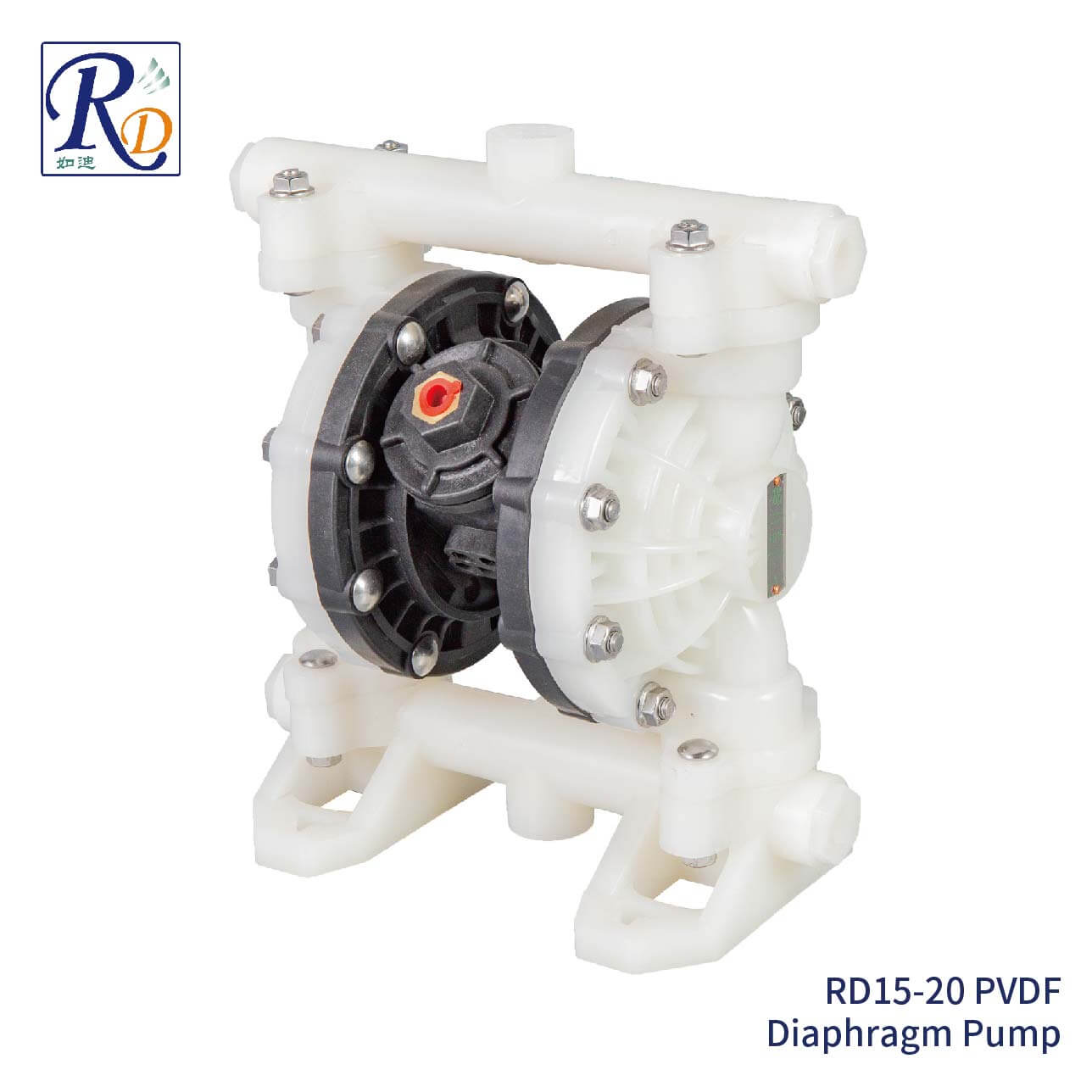 RD15-20 PVDF Diaphragm Pump