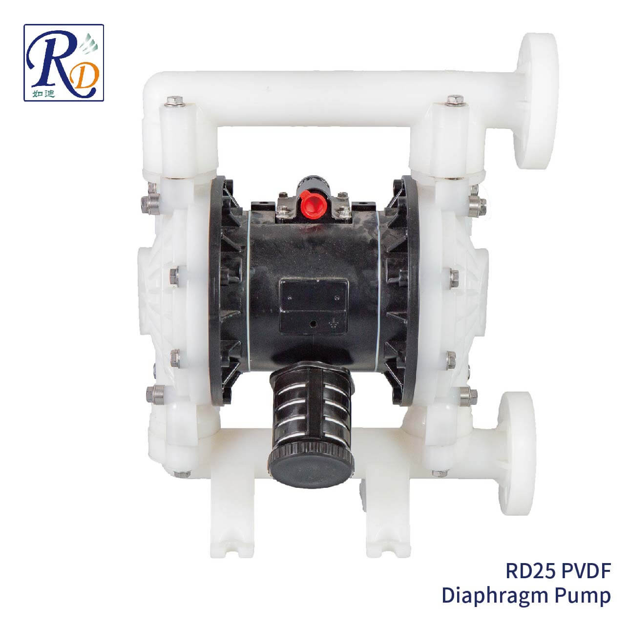 RD25 PVDF Diaphragm Pump