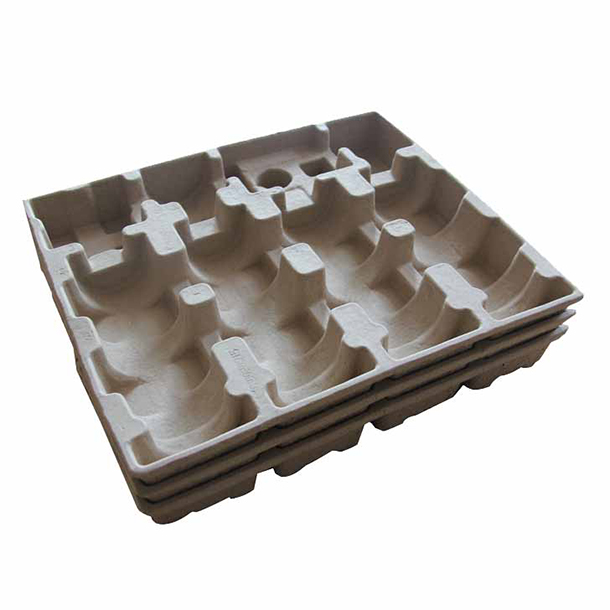 Paper Pulp Tray