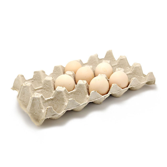 Egg Tray for 15 pieces