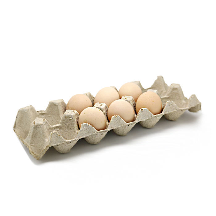 Egg Tray for 10 pieces