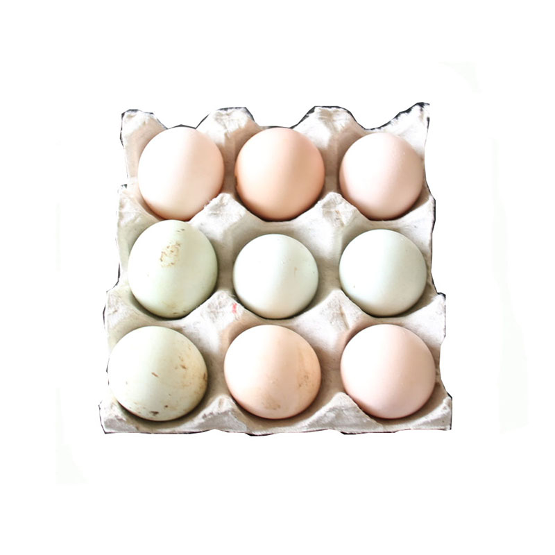 Egg Tray for 9 pieces