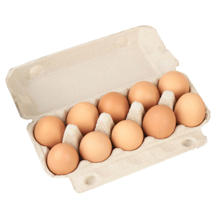 Egg Tray With Lid