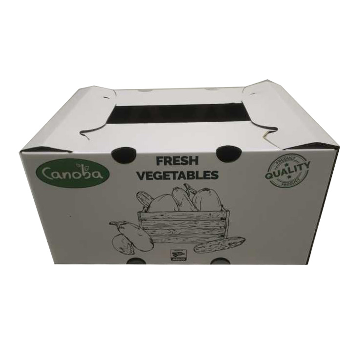 Custom Printed Vegetable Paper Box