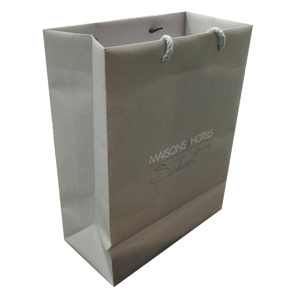 Paper Packaging Bag With Printing