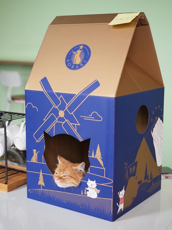 Cardboard Cat House Packaging Boxes Customized