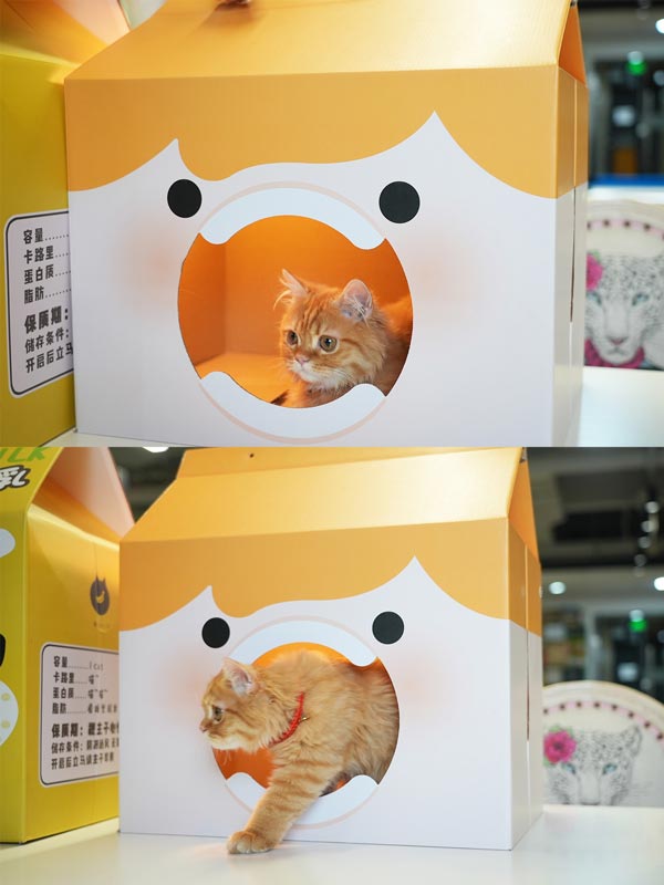 Cardboard Cat House Packaging Boxes Customized