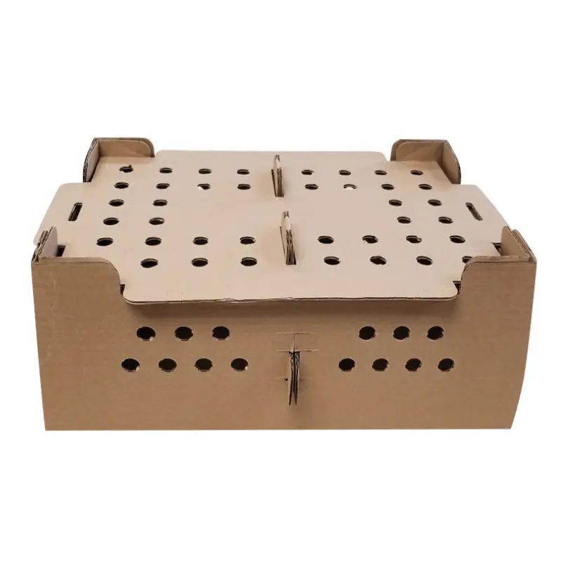 Avocado Packaging Tray