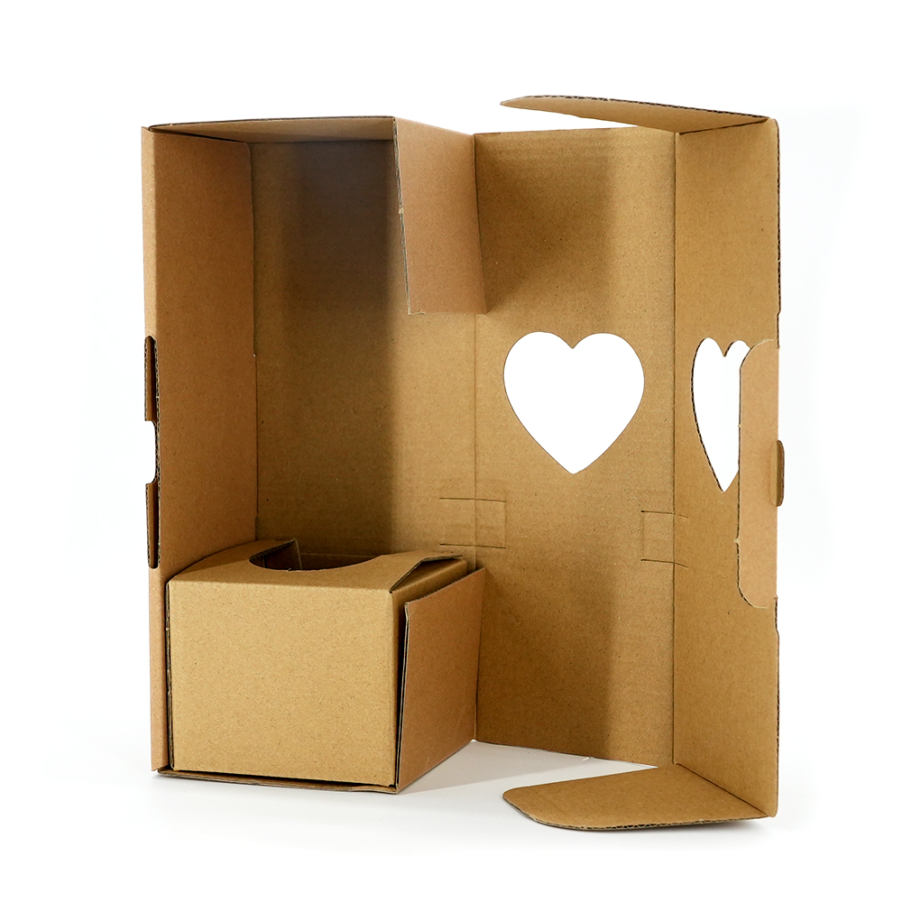 Plant shipping box