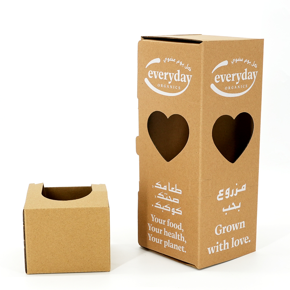 Plant shipping box