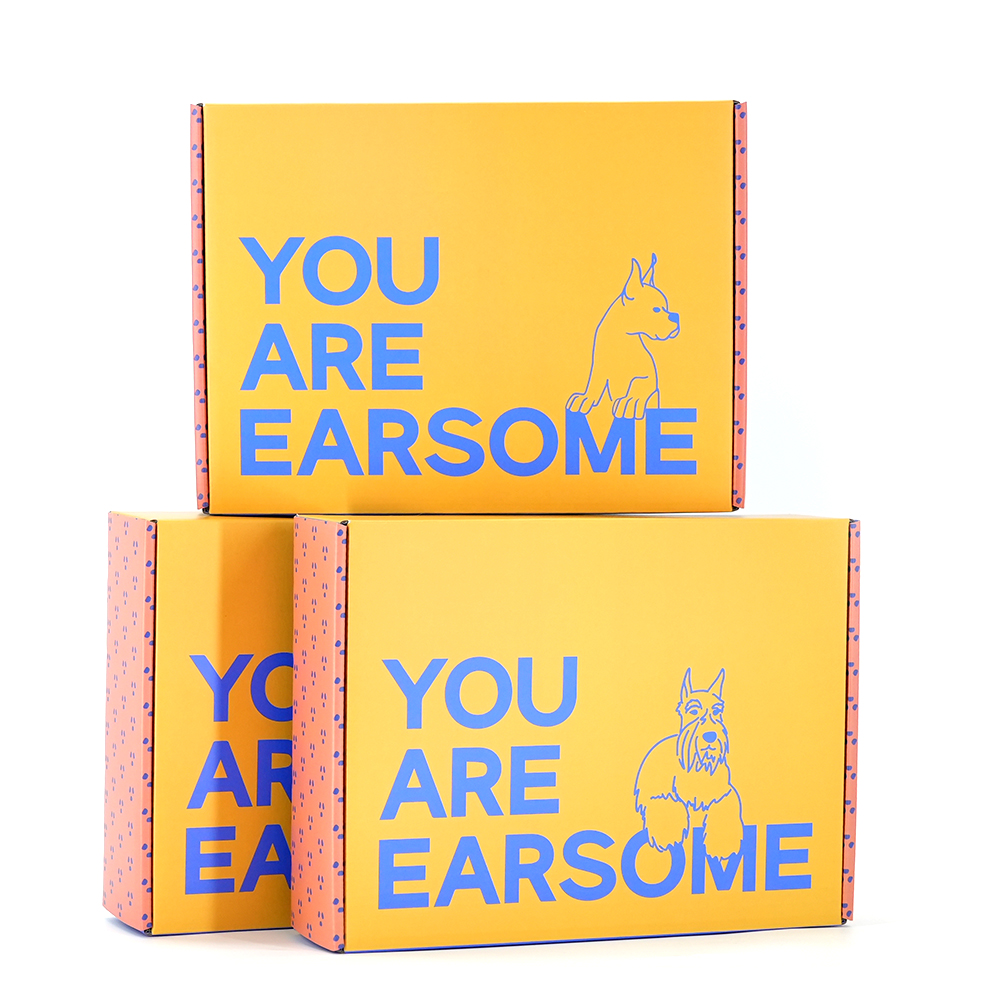 Luxury Clothing Packaging Mailer Shipping Box