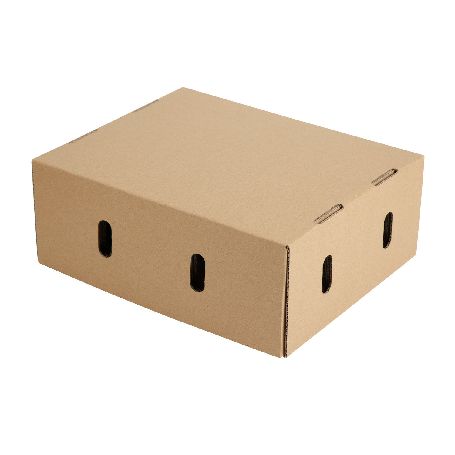 Apple Packaging boxes