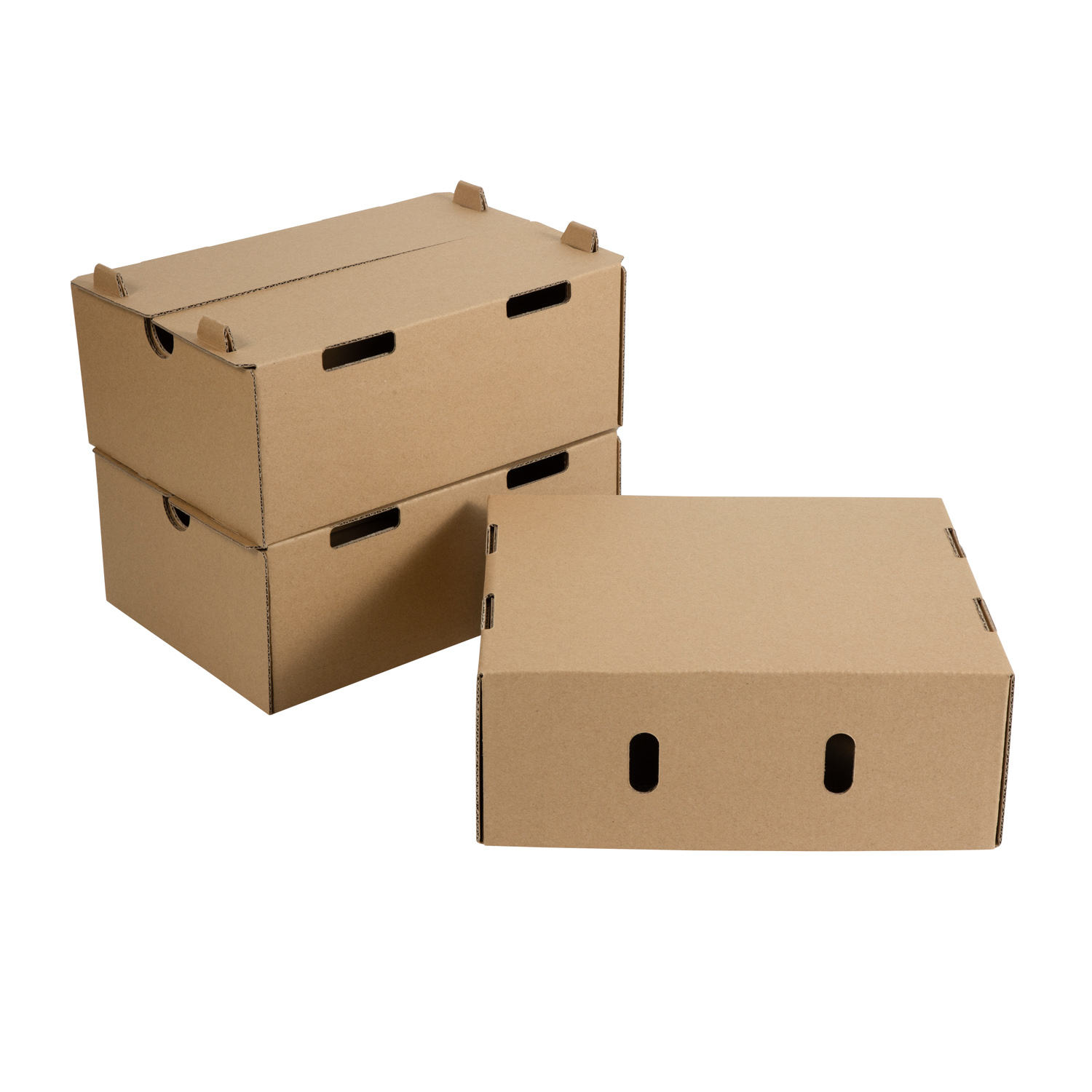 Fruit carton