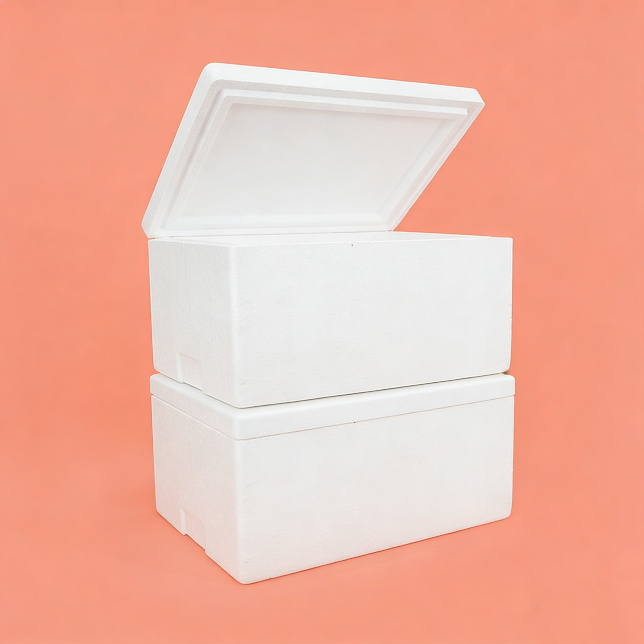Insulated Carton with Foam Shipper