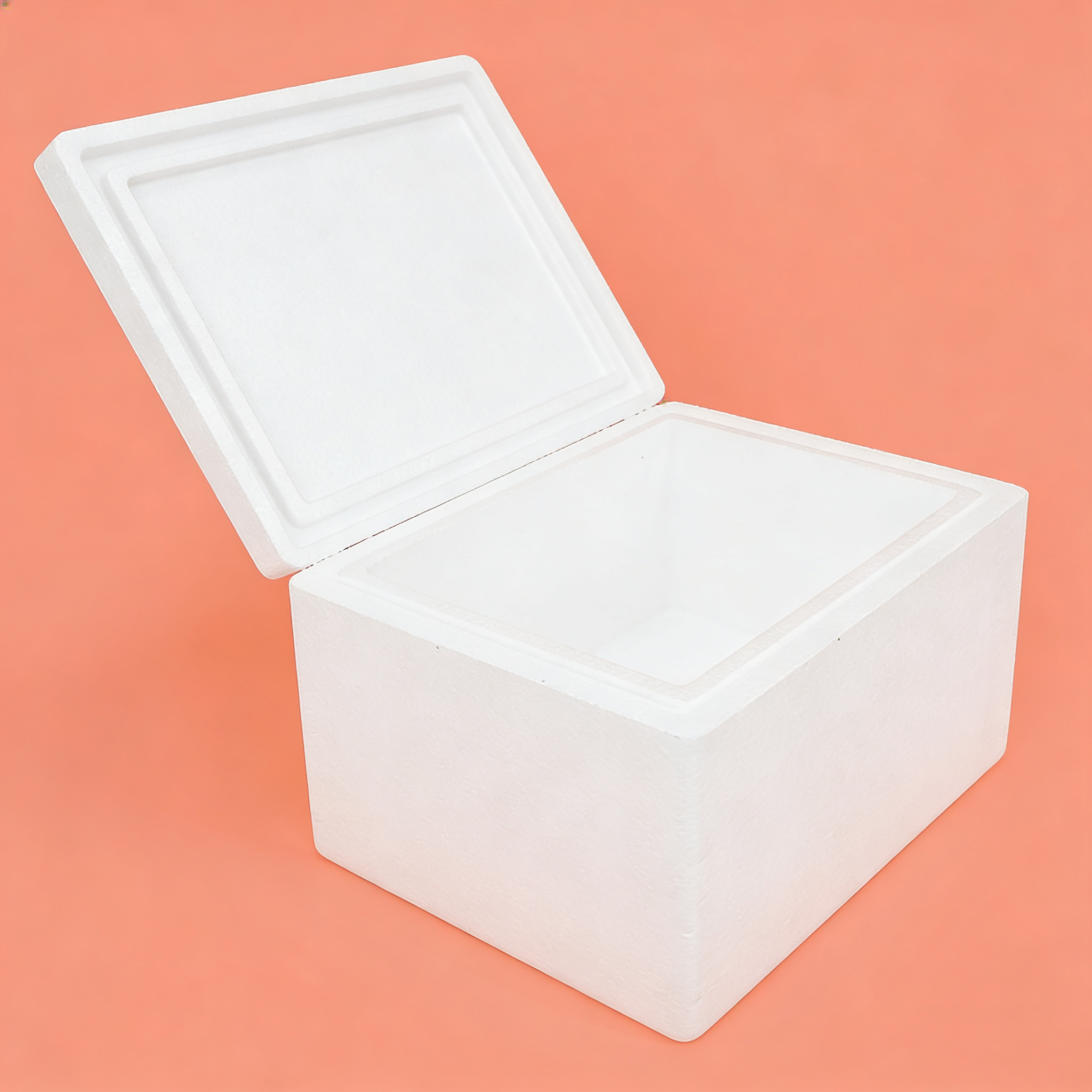 Insulated Carton with Foam Shipper
