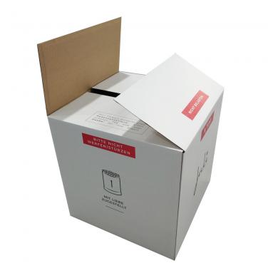 Heavy RSC Carton Box