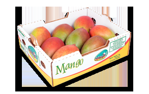 15-20 kg Fruit Paper packing Box