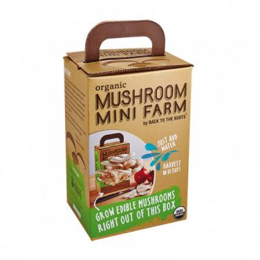 Custom Made Corrugated Paper Mushroom Box