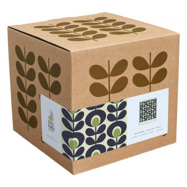 Flexo flower shipping box