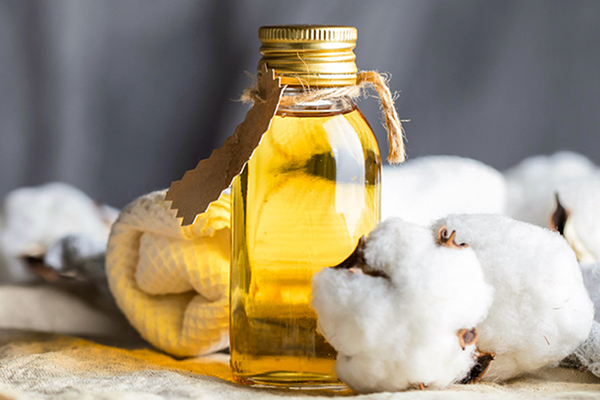 Follow Myande, Rediscover the Cottonseed Oil
