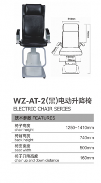 WZ-AT ELECTRIC CHAIR