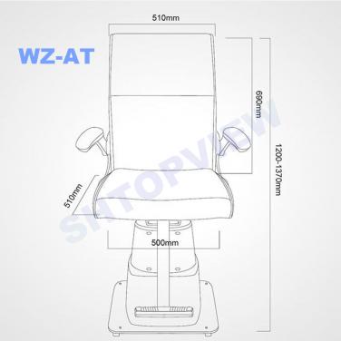 WZ-AT ELECTRIC CHAIR