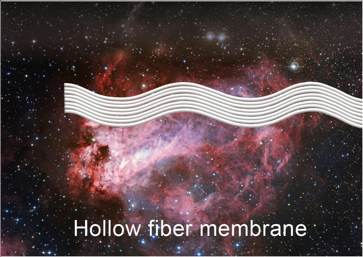 Hollow fiber membrane