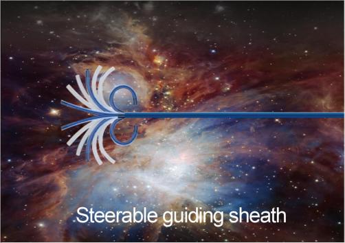 Steerable guiding sheath