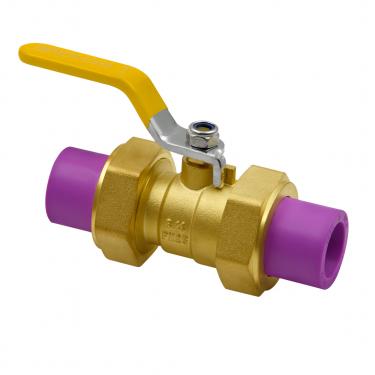 PPR Double End Valve
