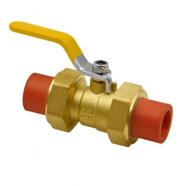 PPR Double End Valve