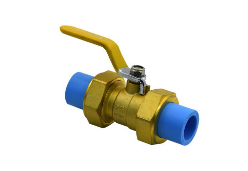 PPR Double End Valve