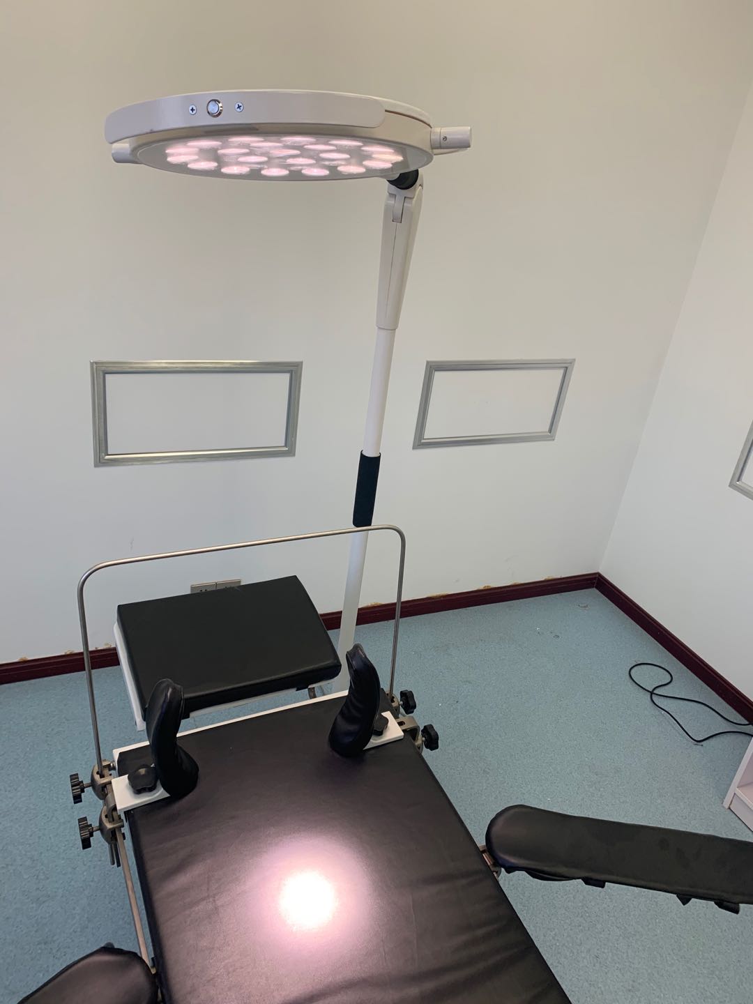 WYLEDL320 Remote Control Deep Cavity Hight Intensity LED Examination Light Floor Standing