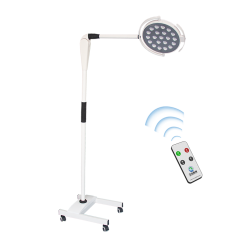 WYLEDL320 Remote Control Deep Cavity Hight Intensity LED Examination Light Floor Standing
