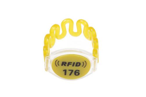 RFID Plastic Wristband RSW-T207