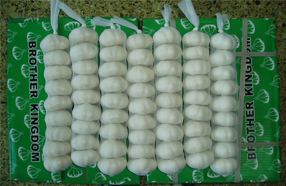 Pure White Garlic In Long Shape Bags