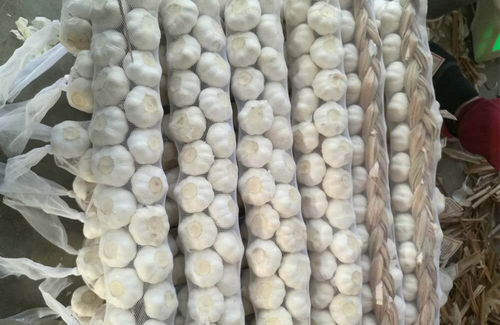 Garlic In Braid