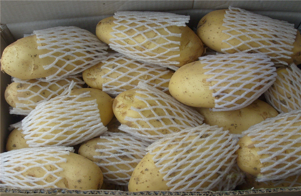 First Class Quality Potato