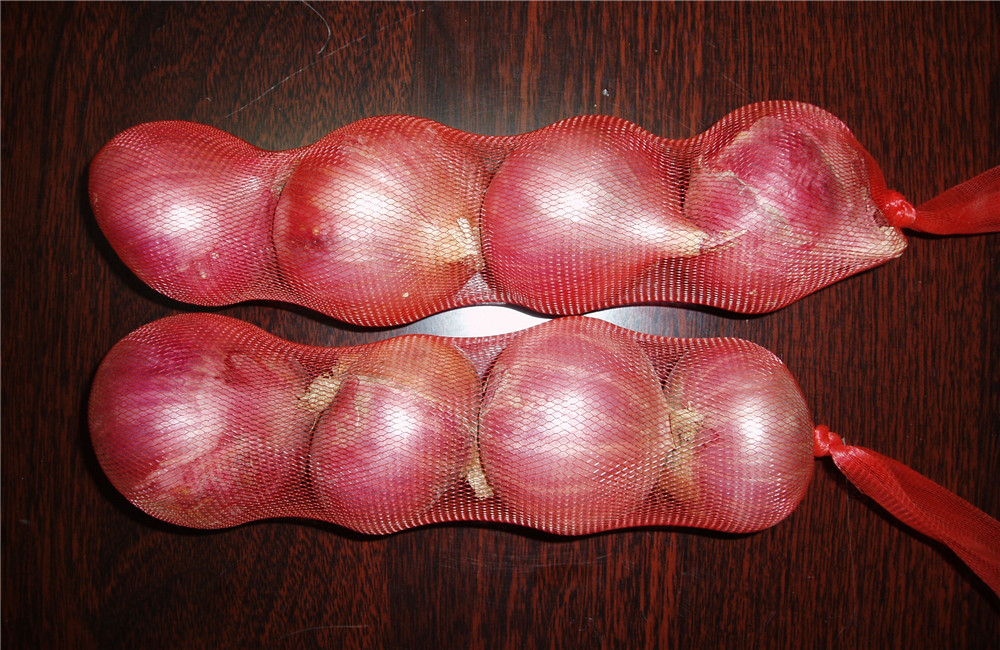 Red Onion In Nylon Bags