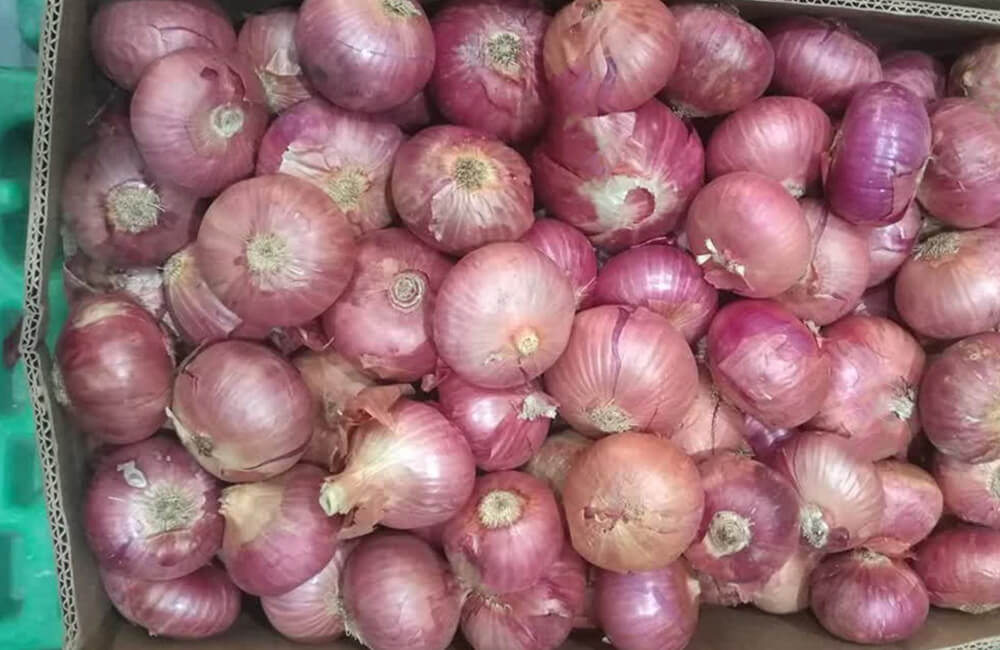 Pink Red Onion