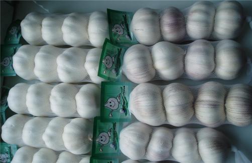 Pure White Garlic & Normal White Garlic In 4pcs