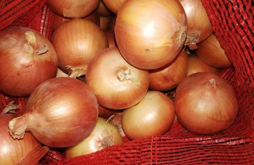 Export Quality Yellow Onion