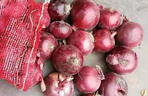 Dark Red Onion