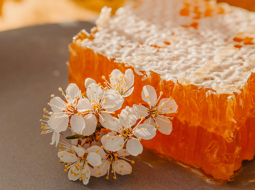 Honey: Exploring Its Health Benefits, Global Impact, and Role in Modern Production
