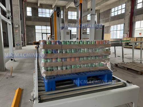 case palletizing robot