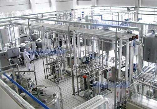 Vegetable Milk And Grain Milk Project