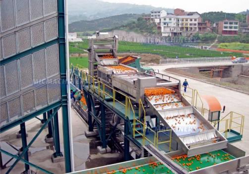 Orange Lemon Pomelo Citrus Juice Extractor Equipment
